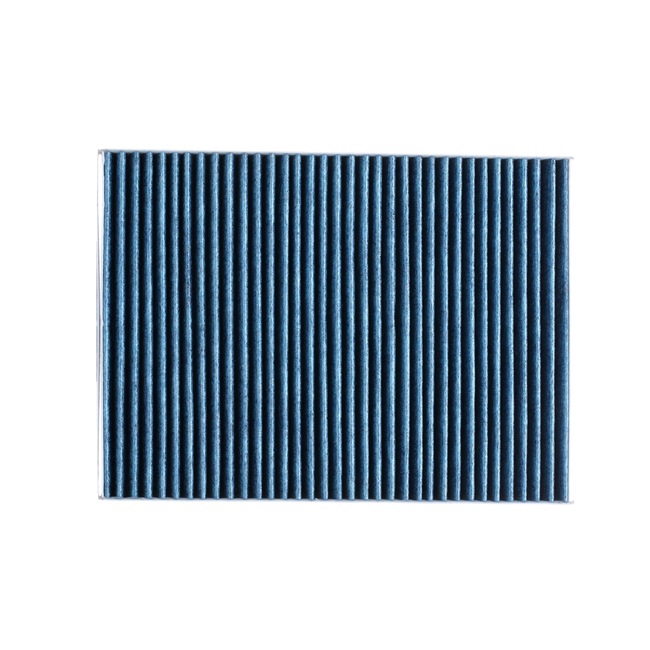 RIDEX PLUS 424I0507P Pollen filter Golf 1j5 1.9 TDI 4motion 115 hp AJM