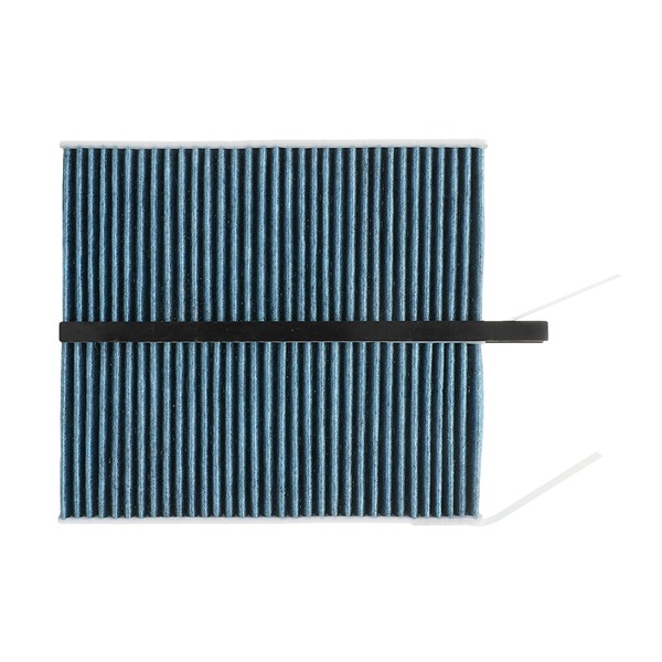 RIDEX PLUS 424I0629P Filtre d'habitacle Renault Master 3 2.3 dCi 100 FWD (FV0A, FV0B, FV0G, FV0K, FV0H) 101CV 2017