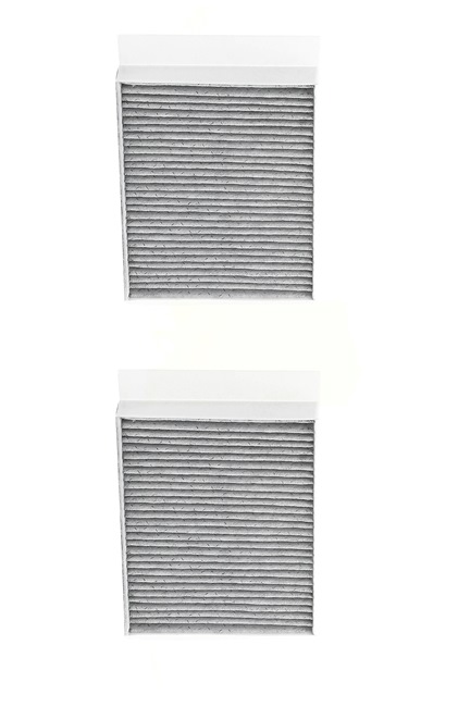 RIDEX PLUS 424I0503P Filtro do habitáculo Citroen C3 II 1.4 HDi (SC8HZC, SC8HR0, SC8HP4) 68 cv 8HZ (DV4TD)