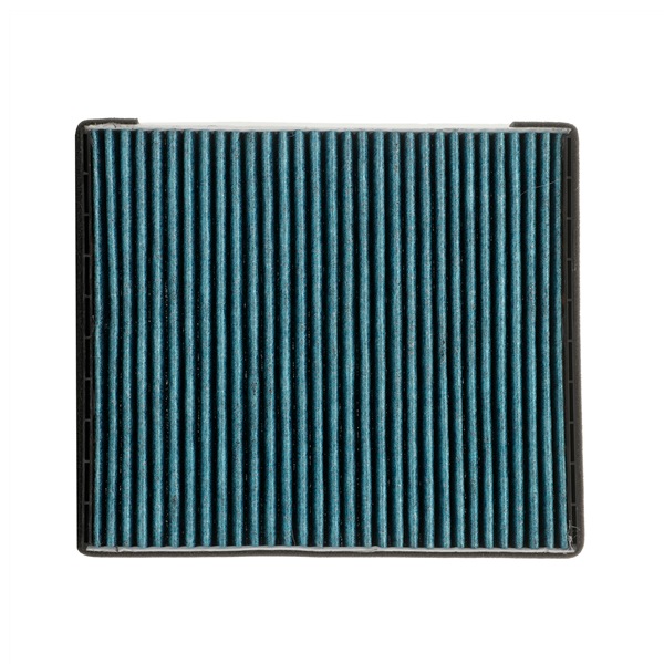 RIDEX PLUS 424I0618P Filtro de combustível 1.2 LPGI 83 cv G4LA