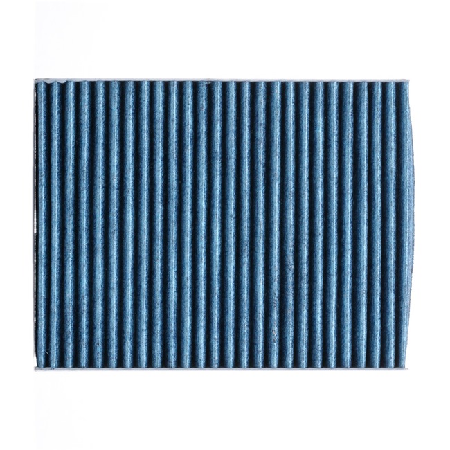 RIDEX PLUS 424I0545P Pollen filter Fiat Stilo Estate 1.9 JTD 140 hp 192 A5.000