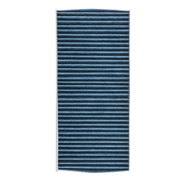 RIDEX PLUS 424I0590P Pollen filter CITROËN Dispatch II MPV (VF7) 2.0 HDi 120 HP