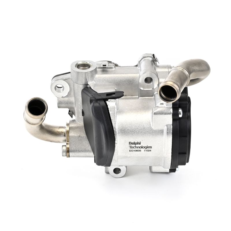 DELPHI EG10608-12B1 Hitzeschutzblech 2.0 TDI quattro 190PS 2016