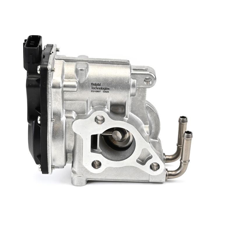 DELPHI EG10610-12B1 Forreste lyddemper 2.0 TDI 75 hk CUUF