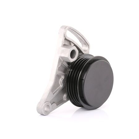 11341 Poulie, tendeur de courroie d'accessoire FEBI BILSTEIN Volkswagen prix