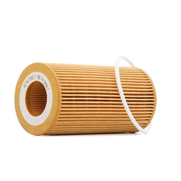 RIDEX PLUS 7O0011P Oil filter Golf Plus 2.0 FSI 150 hp BLR