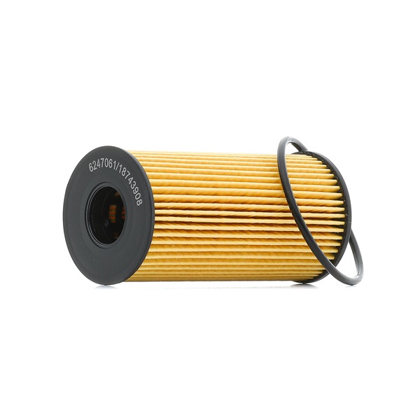 RIDEX PLUS 7O0024P Filtre à huile Renault Master 3 2.3 dCi 100 FWD (FV0A, FV0B, FV0G, FV0K, FV0H) 101CV 2018