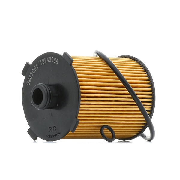 Köp billigt 7O0199P Motoroljefilter Filterinsats, med packningar från RIDEX PLUS 05040646, 5040646, 1225776, 1225961