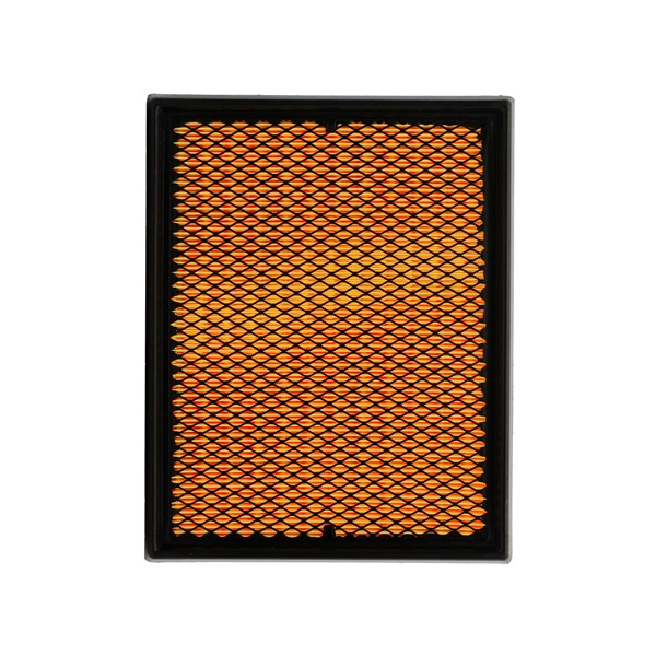 RIDEX PLUS 8A0007P Luftfilter Audi A4 8h 2.5 TDI 163 PS BDG