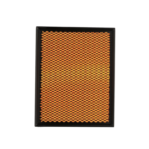 8A0005P Luftfilter Filterindsats fra RIDEX PLUS 9117557, 09117557, 13271042, 9117557, 09117557, 5834282, 9117557, 9117557, 9117557 kob billige