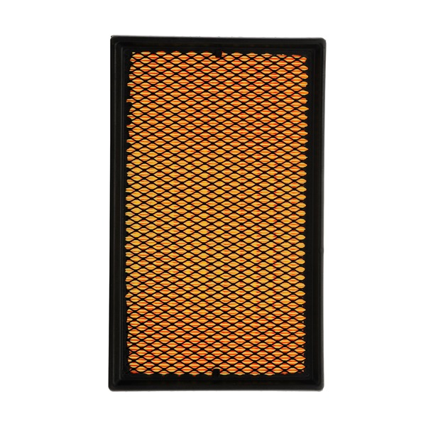 RIDEX PLUS 8A0065P Luftfilter T5 Multivan 2.0 115 PS AXA