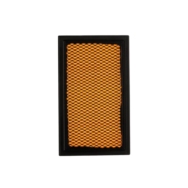 Koop 8A0006P Luchtfilters Filter insert van RIDEX PLUS 025062212, 025069015, 25062212, 25069015, 00835616, 025069015, 0835616, 25069015, 835616, 025062212, 025069015, 25062212, 25069015 goedkope