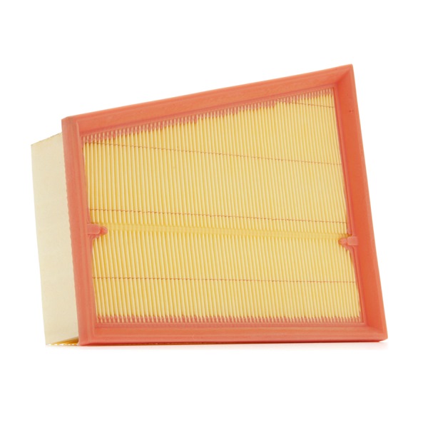 RIDEX PLUS 8A0868P Filtre à air Renault Kangoo 2 Express 1.5 dCi 110 (FW0C, FW0H) 109CV 2018