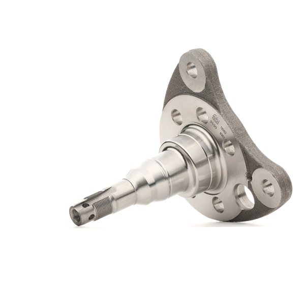 SEAT FEBI BILSTEIN Muñón del eje suspensión de rueda 18352