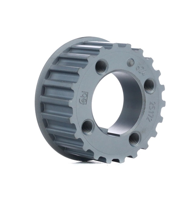 FEBI BILSTEIN 25172 Puleggia pompa acqua 2.4 D 82 CV AAS
