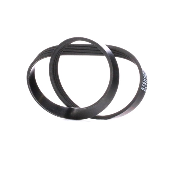 FIAT FEBI BILSTEIN Aggregate-Rillenriemen 28767