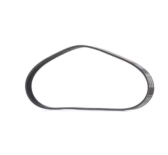 RIDEX PLUS 305P0049P Multiriem VW Jetta 1k2 2.0 FSI 150 Pk BLR