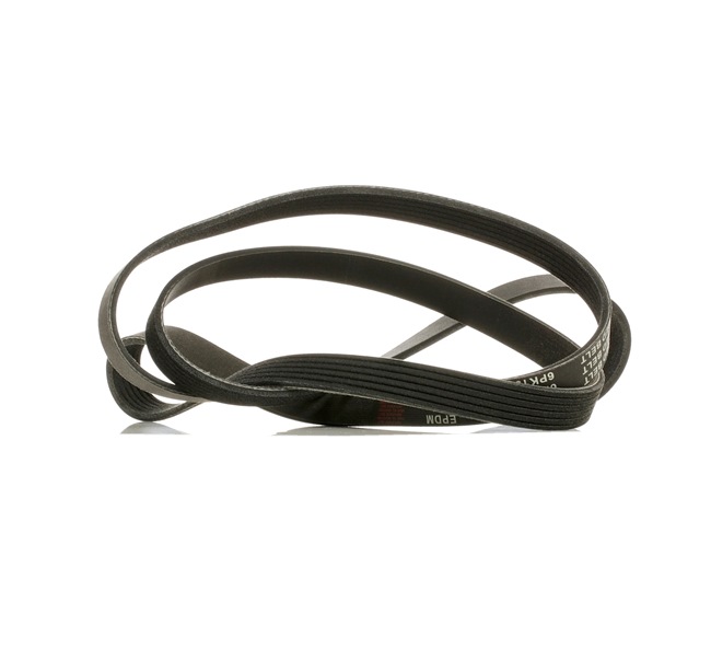 RIDEX PLUS 305P0150P Courroie d'alternateur Lancia Thesis 841 3.2 V6 (841.AXF110) 230CV 2008