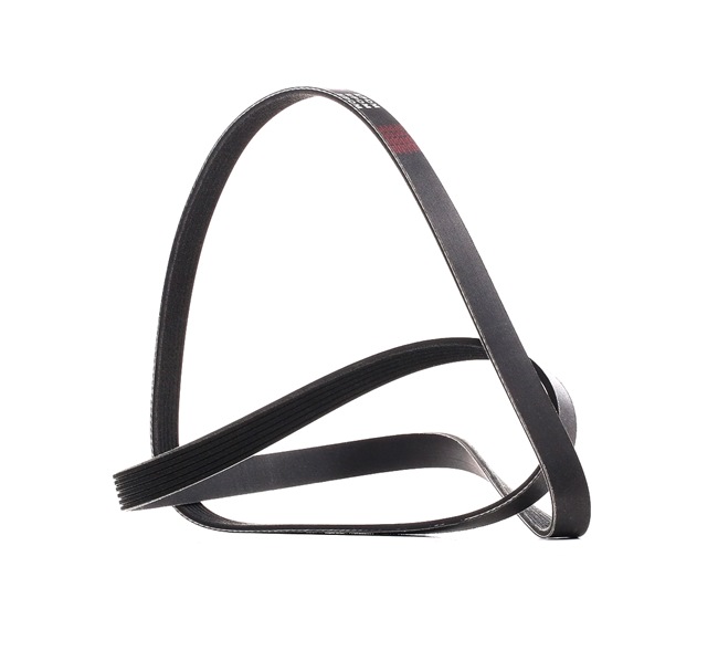 RIDEX PLUS 305P0181P Serpentine belt FORD Transit Mk7 Platform / Chassis (V363) 2.2 TDCi 100 hp DRFF