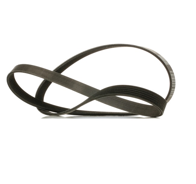 RIDEX PLUS 305P0067P Serpentine belt FORD Transit Mk7 Platform / Chassis (V363) 2.0 EcoBlue 4x4 130 hp YMR6