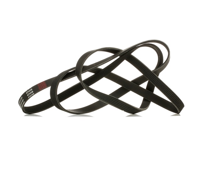 RIDEX PLUS 305P0104P Curea de accesorii Mercedes C124 E 36 AMG 3.6 (124.052) 272 CP M 104.992 (AMG 3.6)