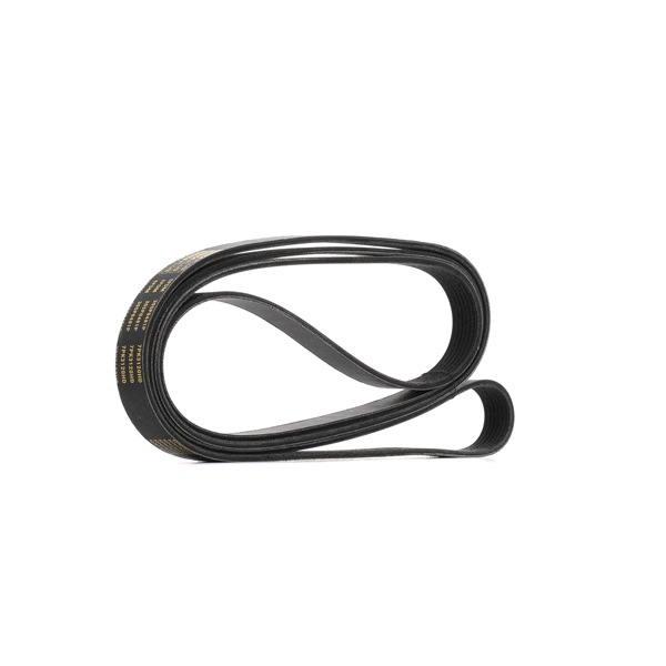 RIDEX PLUS 305P0481P V-belt 2.2 TDCi RWD 125 hp CYR5