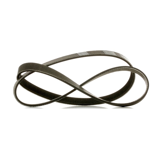 Köp billigt 305P0242P Generatorrem 1173mm, Ribbantal: 6 från RIDEX PLUS 11288580362, 11288638716, 11288638716, 11288580362, 11288638716
