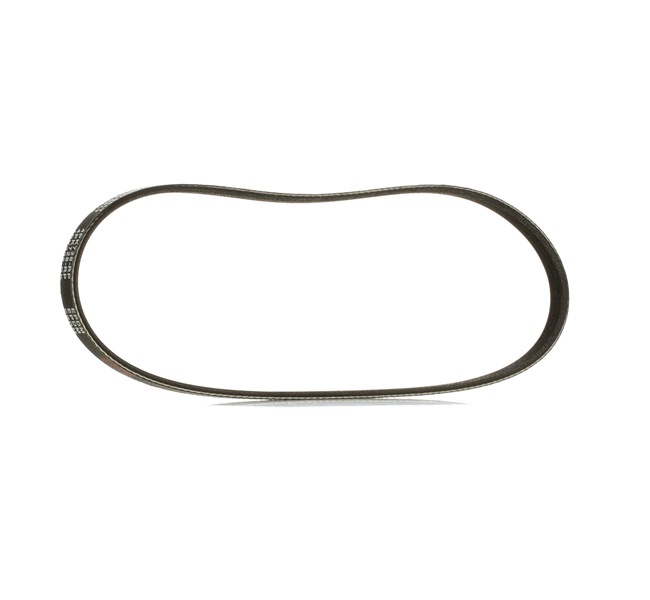305P0479P RIDEX PLUS Keilrippenriemen Preis