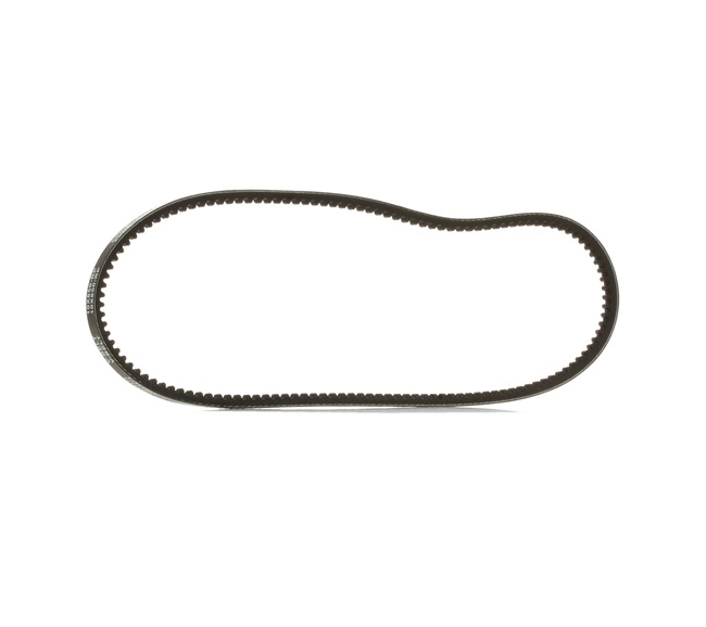 RIDEX PLUS Correas 10C0019P