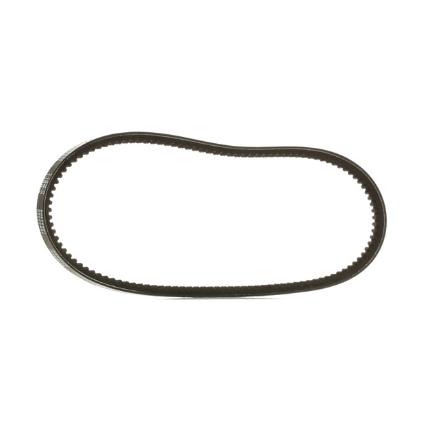 RIDEX PLUS 10C0050P Catena di distribuzione 2.0 E 115 CV AAD