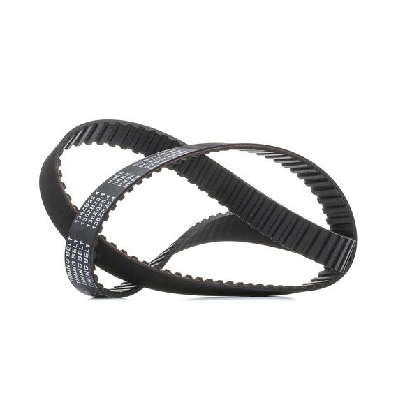 RIDEX PLUS 306T0107P Steuerkette 1.7 D (F08, F68, M68) 60 PS 17 D (4EE1)