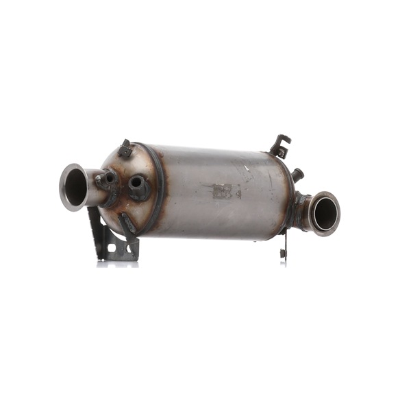 RIDEX 1256S0415 Filtru de particule VW Multivan T5 2.5 TDI 174 CP BPC