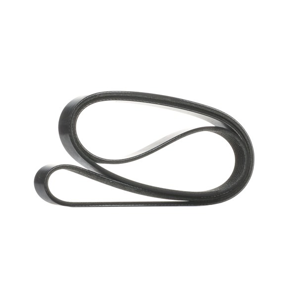 RIDEX 305P0647 Ιμάντας poly-V Ford C Max 2 1.0 EcoBoost 125 PS B7DA