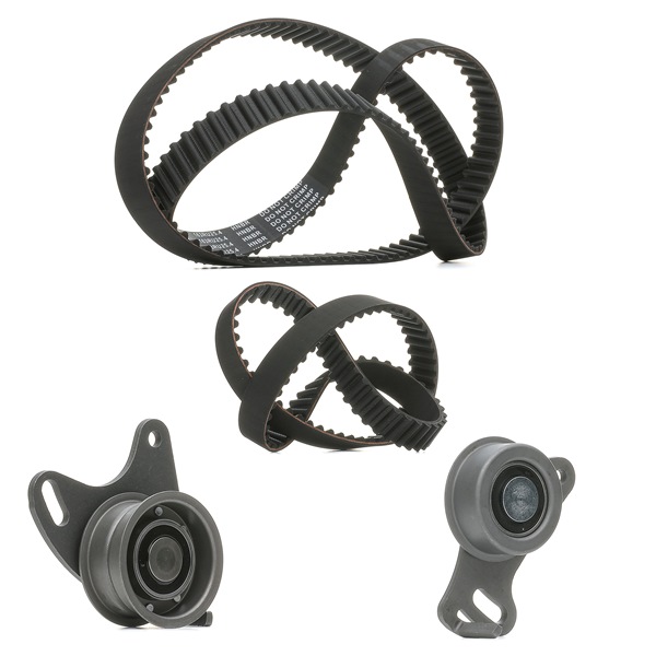RIDEX PLUS 307T0044P Kit lanț de distribuție 2.5 TDi 4WD 133 CP