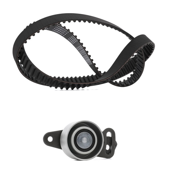 RIDEX PLUS 307T0069P Kit lanț de distribuție 2.1 D 60 CP J8S 330