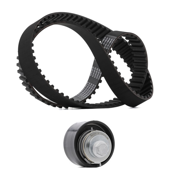 RIDEX PLUS 307T0237P Timing belt kit Ford Transit MK5 2.5 TD 75 hp 4HD