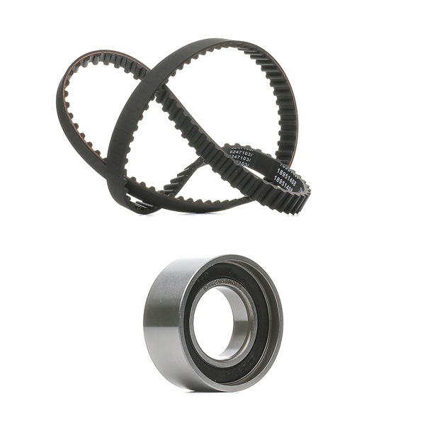 RIDEX PLUS 307T0073P Ékszíj 1.1 Sporting 54 LE 176 B2.000