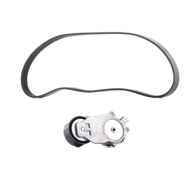 RIDEX PLUS 542R0005P Multiriem Ford Transit Connect MK2 1.6 TDCi 95 Pk TZGB