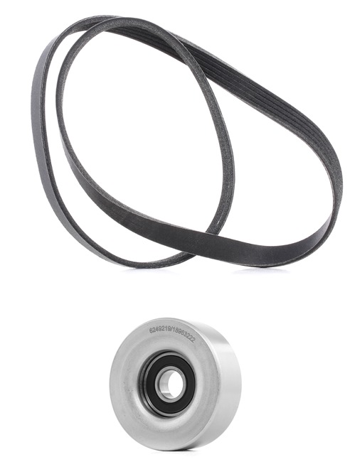 RIDEX PLUS 542R0023P Chaîne de distribution 1.6 112CV 2024