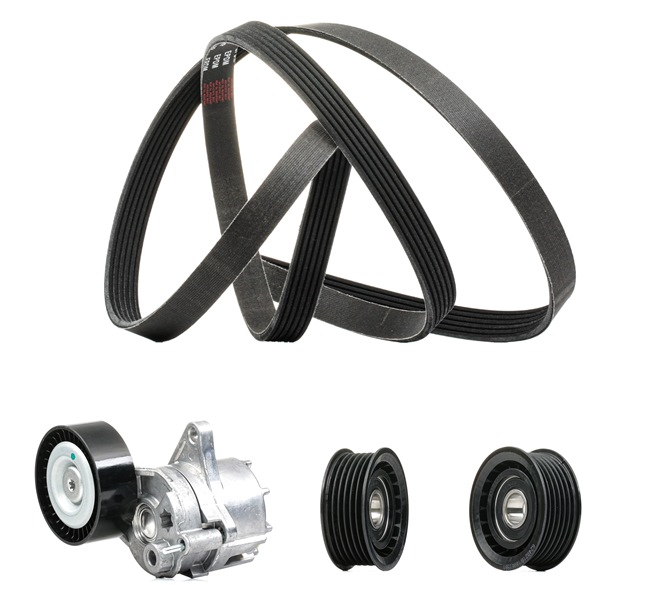 RIDEX PLUS 542R0043P Keilrippenriemen MERCEDES-BENZ E-Klasse Pritsche / Fahrgestell (VF211) E 220 CDI (211.606) 150 PS OM 646.961