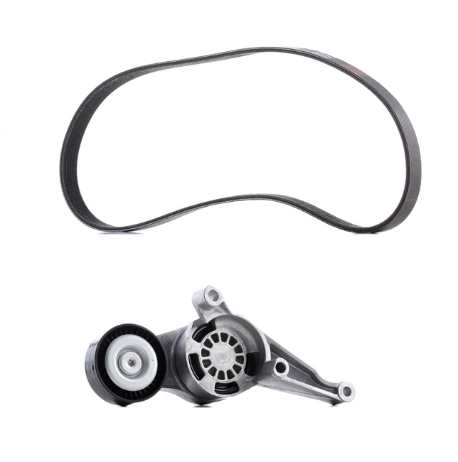 RIDEX PLUS 542R0007P Multiriem VW Golf 1k5 1.9 TDI 4motion 105 Pk BLS