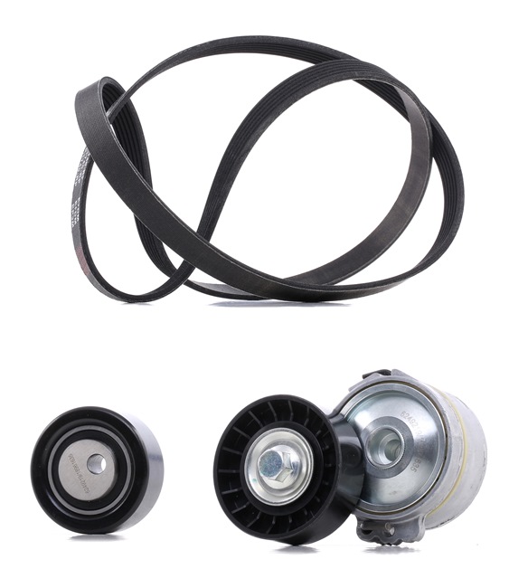 RIDEX PLUS 542R0002P Ιμάντας poly-V FIAT Scudo I Φορτηγό πλατφόρμα/Σασσί (220) 2.0 JTD 16V 109 PS RHK (DW10UTED4)