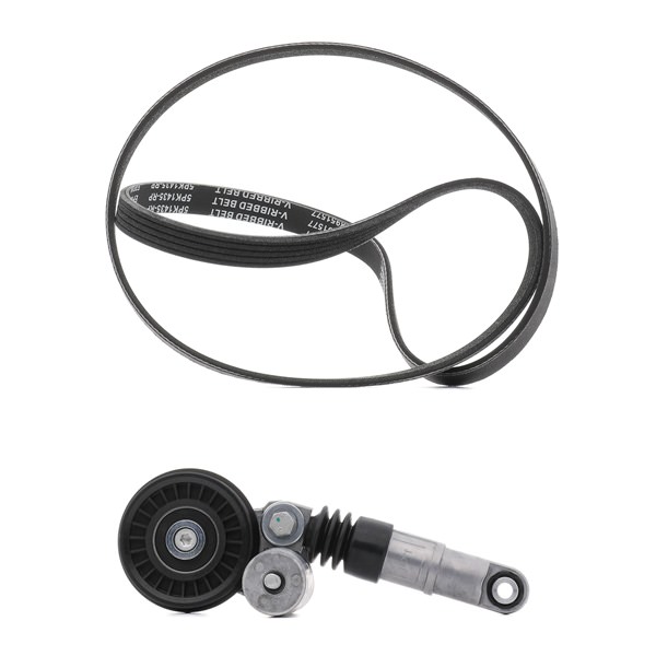 RIDEX PLUS 542R0069P Keilrippenriemensatz Passat 3B5 1.9 TDI 4motion 115 PS AJM