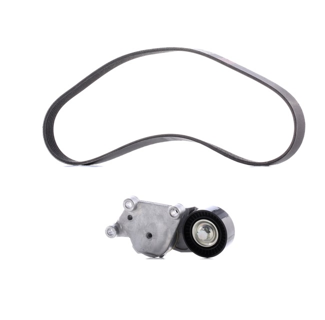 RIDEX PLUS 542R0114P Multiriem Ford Transit Connect MK2 1.5 TDCi 75 Pk XUGA