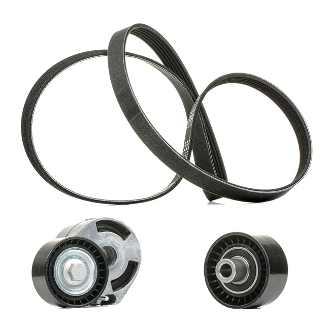 RIDEX PLUS 542R0062P Zestaw paska wielorowkowego Citroën C5 Kombi 1.6 HDi (RE9HZC, RE9HYB) 109 KM 9HY (DV6TED4)