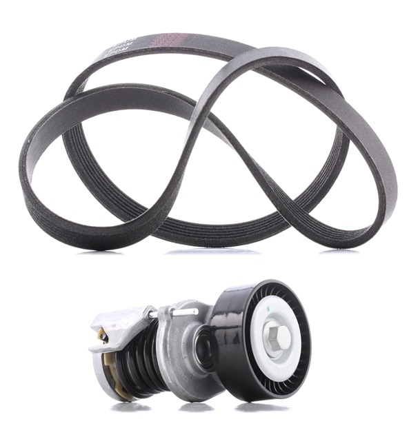 RIDEX PLUS 542R0041P Remtræk / kædetræk Seat Cordoba 6L2 1.9 TDI 100 HK BMT