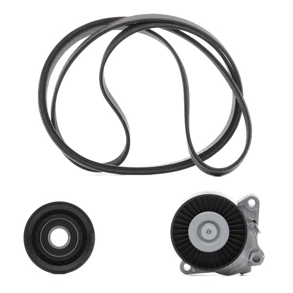 542R0498P RIDEX PLUS Keilrippenriemensatz