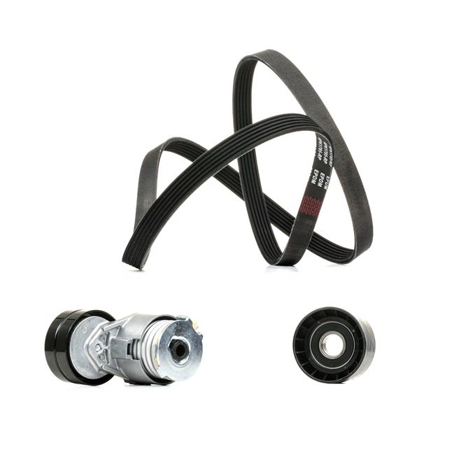 RIDEX PLUS 542R0020P Kit de courroie d'accessoire Renault Laguna 1 1.9 dCi 107CV 1999