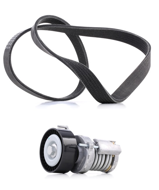 RIDEX PLUS 542R0036P Hosszbordás szíj készlet VW Caddy 2 Van 60 1.4 60 LE APQ