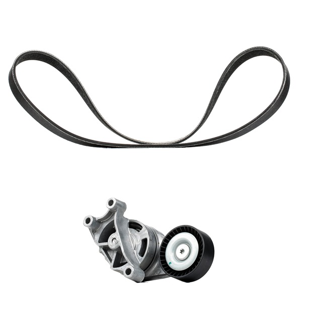RIDEX PLUS 542R0211P Cinghia servizi Audi A3 8P S3 2.0 quattro 256 CV BZC